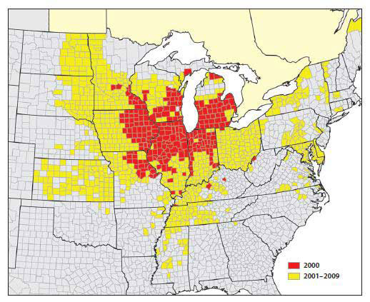 Soybean Aphids Distribution Map