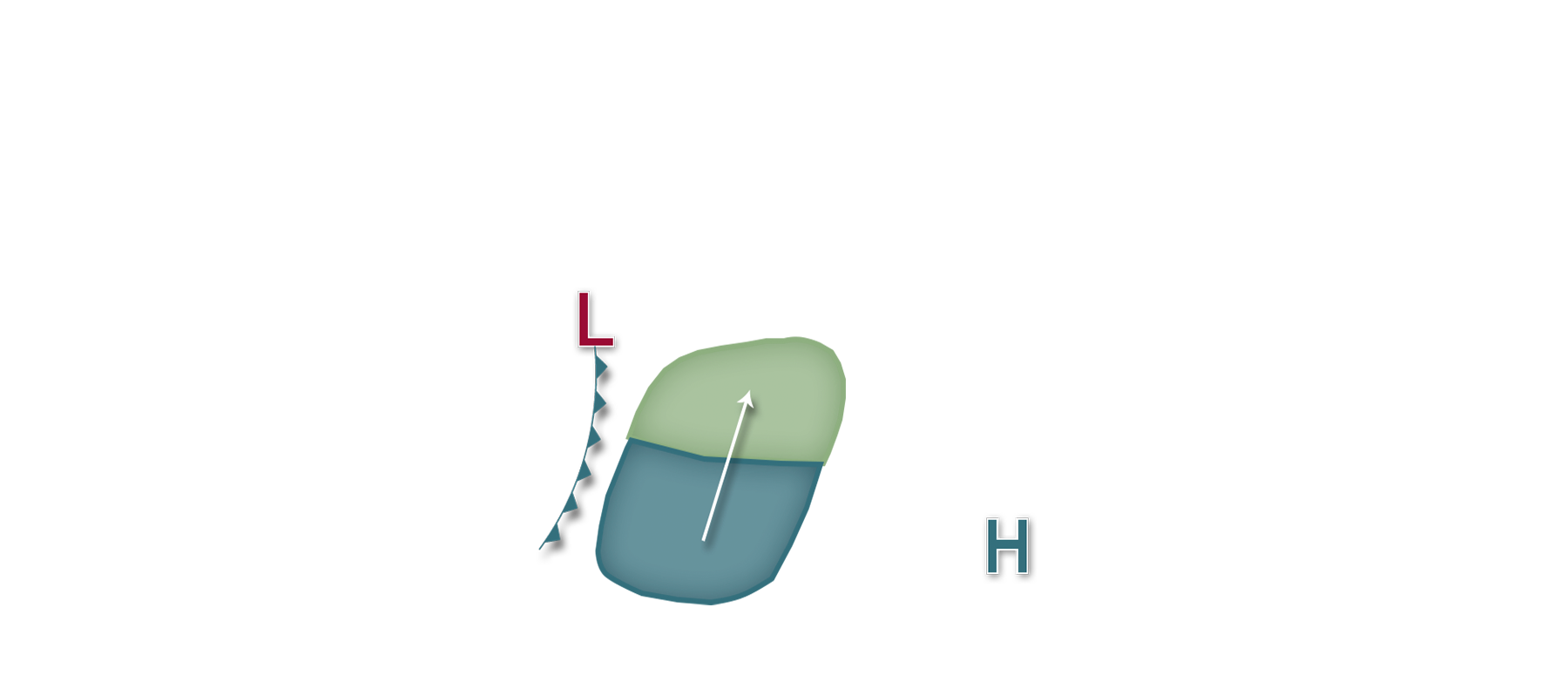 Corn Earworm InsectForecast