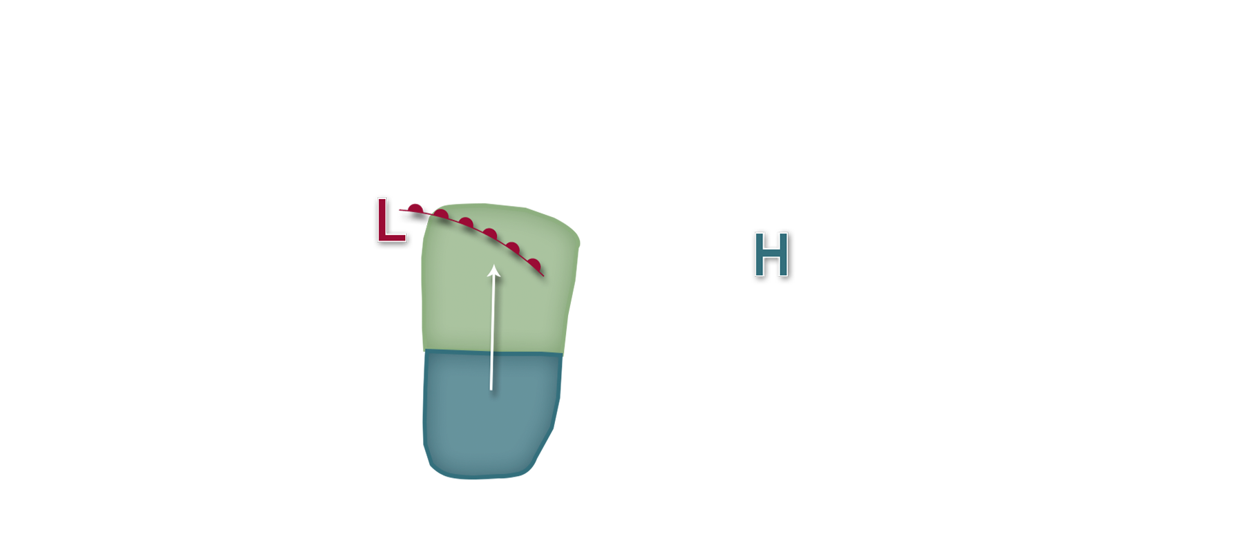 Corn Earworm InsectForecast