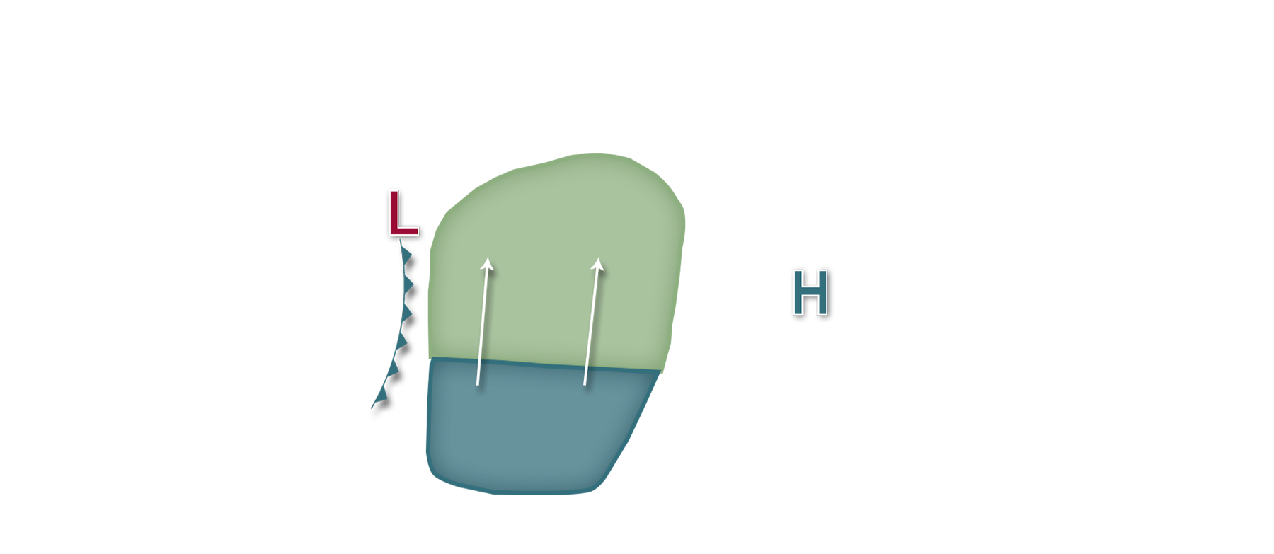 Corn Earworm InsectForecast